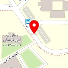 دکتر مریم هاشمی پور