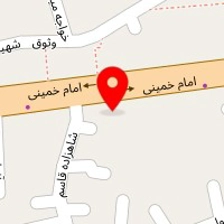 دکتر طاهره چنگیزی