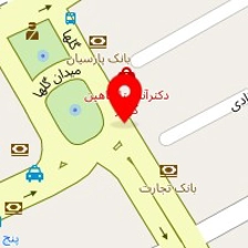 وکیل مینا افشون