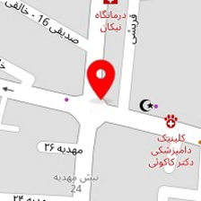 دکتر علی ربیعی
