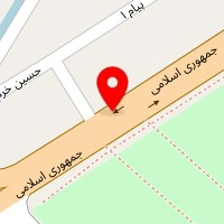 وکیل اصغر علی جانی