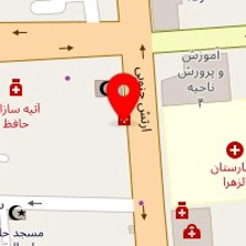 دکتر داود نجفی