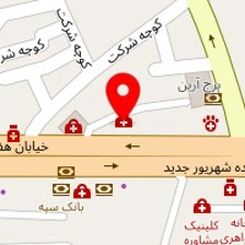 دکتر نسیم اکتایی