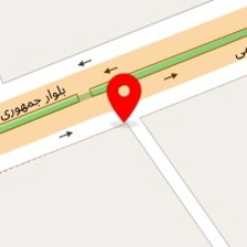 دکتر هدی شمس الدین