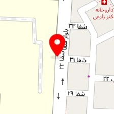 دکتر محمد مهدی ابراهیمی