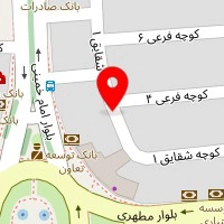 دکتر مهدی سعادت نیا