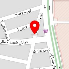 دکتر مهدی ملاکی