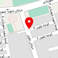 دکتر حسین محمودی زاده