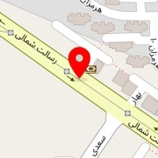 دکتر نسترن سعیدی