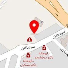 دکتر حمیدرضا عبدالصمدی