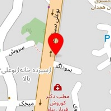دکتر رضا مسچی