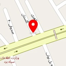 دکتر سعیده هاشمی نژاد