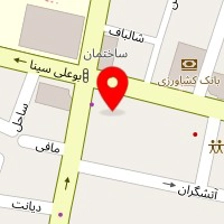 دکتر حسام الدین حمیصی