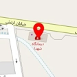 دکتر فائزه بهدانی
