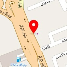 دکتر سئویل حسین زاده