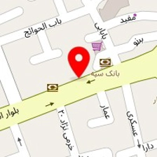 دکتر سعید رومی