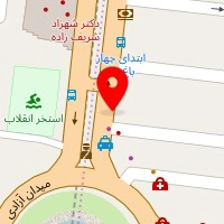 دکتر رویا عطارزاده