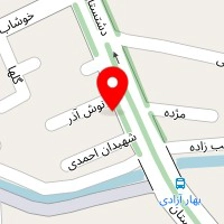 دکتر زهره امامی پور