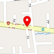 دکتر شهلا پورهمایون