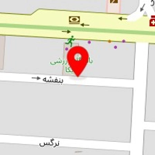 سالن زیبایی شانلی
