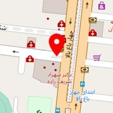 دکتر فاطمه رشیدی