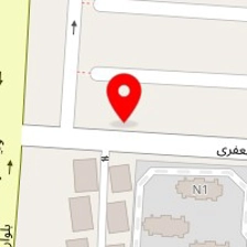 دکتر نوشین قلی زاده