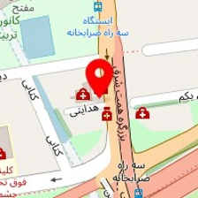 دکتر منصوره میثاقی