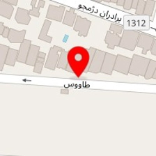 دکتر هاشم عابدینی