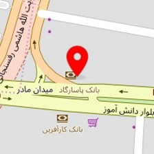 دکتر منصوره یاری