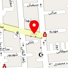 دکتر حمزه آقائی