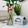 کلینیک زیبایی نیلما