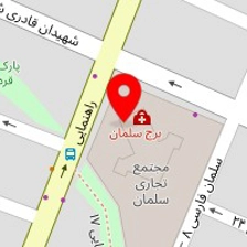 سالن میکروبلیدینگ مائده سلیمی