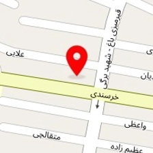 بازرگانی شبکه نقره ای