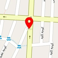 دکتر امین نظری