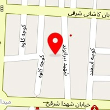 دکتر مهدی فانی