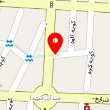 دکتر صبا کایدی
