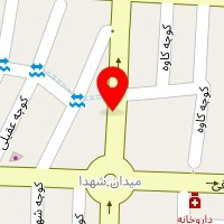 دکتر مجتبی گرجی