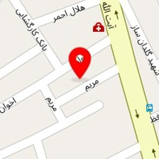 دکتر شادی دهقان