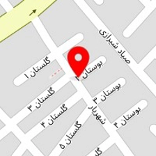 فروشگاه السا