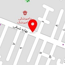 عادل ارزونی