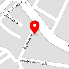 مانی نی