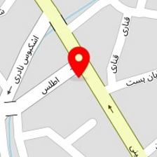 نقش جهان حسینی