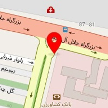 شرکت تاجران ترخیص