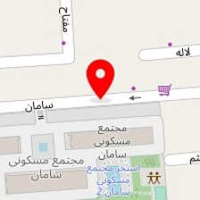 بازرگانی برگ زرین ایلیا