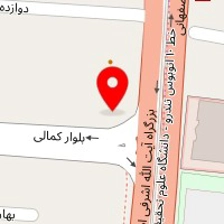 دکتر سعیده تیموریان