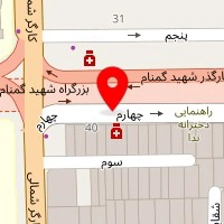 دکتر آرش عربشاهی