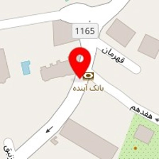 دکتر شایسته حامدی