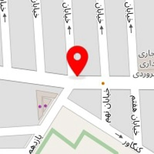 دکتر محمد شباهنگ