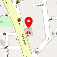 دکتر مینا منتظری