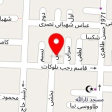 دکتر محمود ضابطی